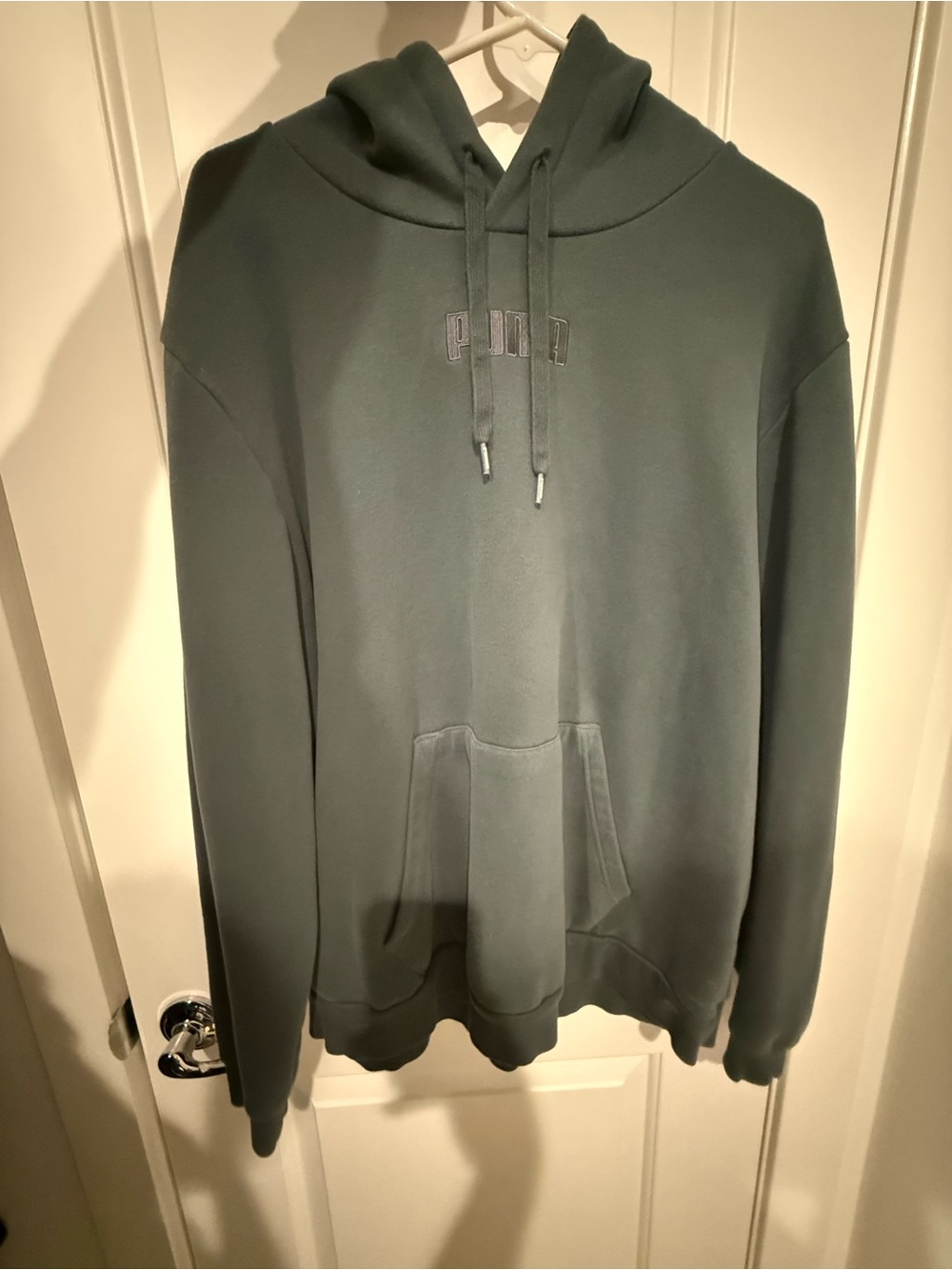 Puma Men’s Forest Green Pullover Hoodie